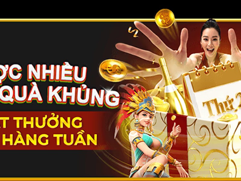 Hình ảnh hoàn trả cược hàng tuần