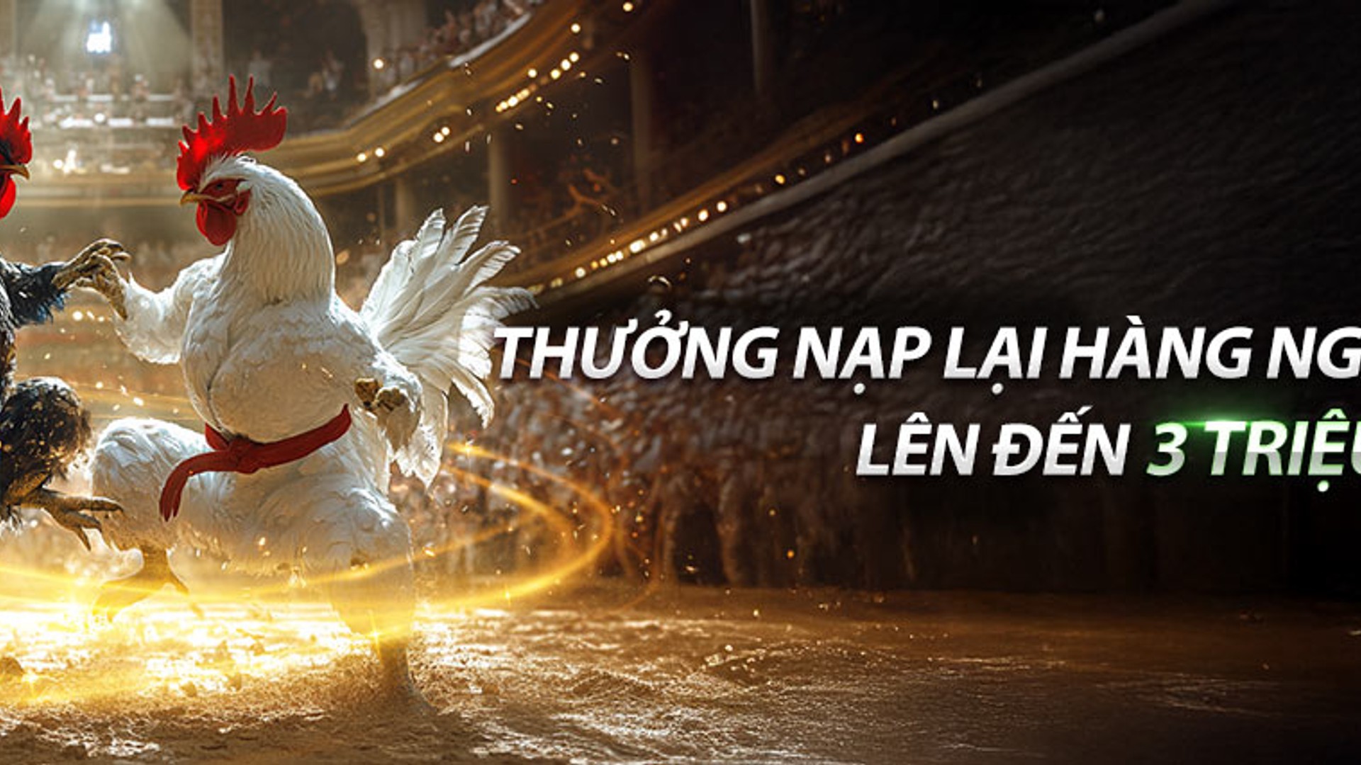 Đá gà trực tuyến 777king với trận đấu kịch tính