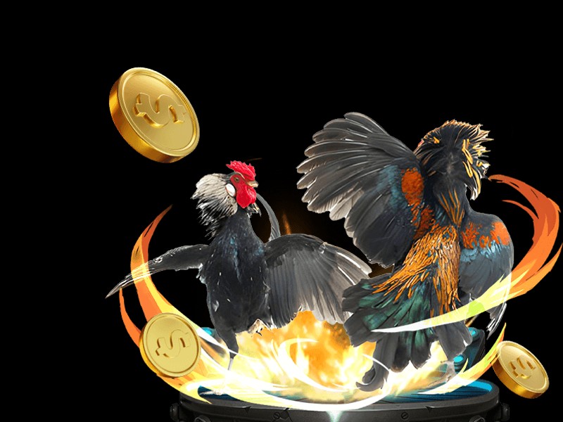 Đá gà Thomo kịch tính tại 777king